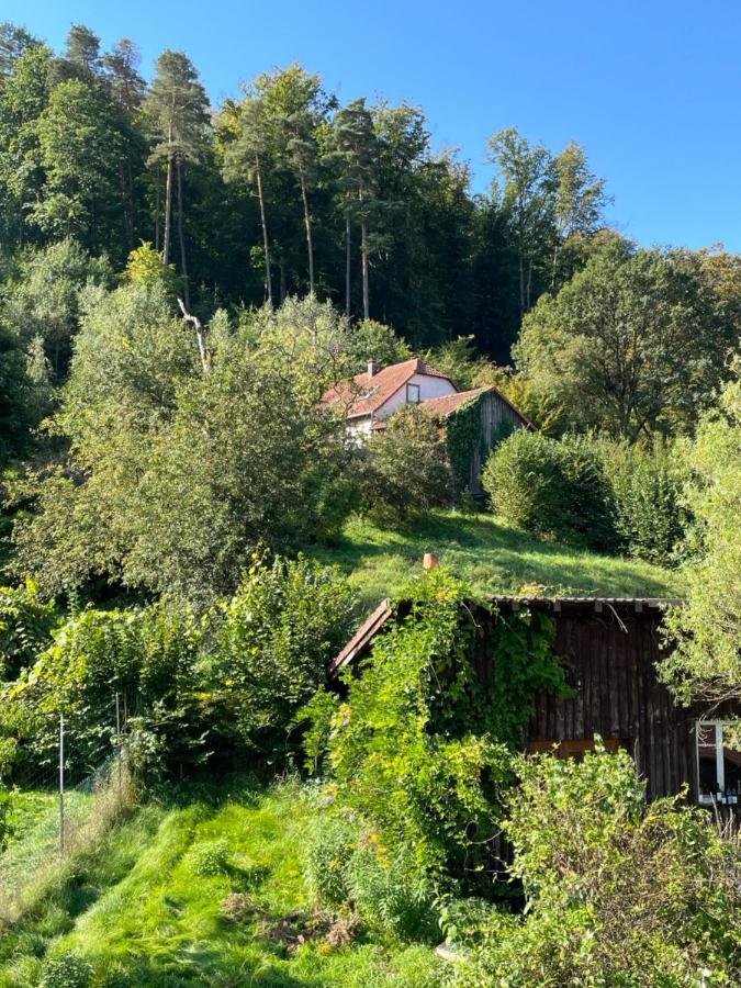 Ferienwohnung Mon Refuge En Vasgovie Meisenthal Exterior foto