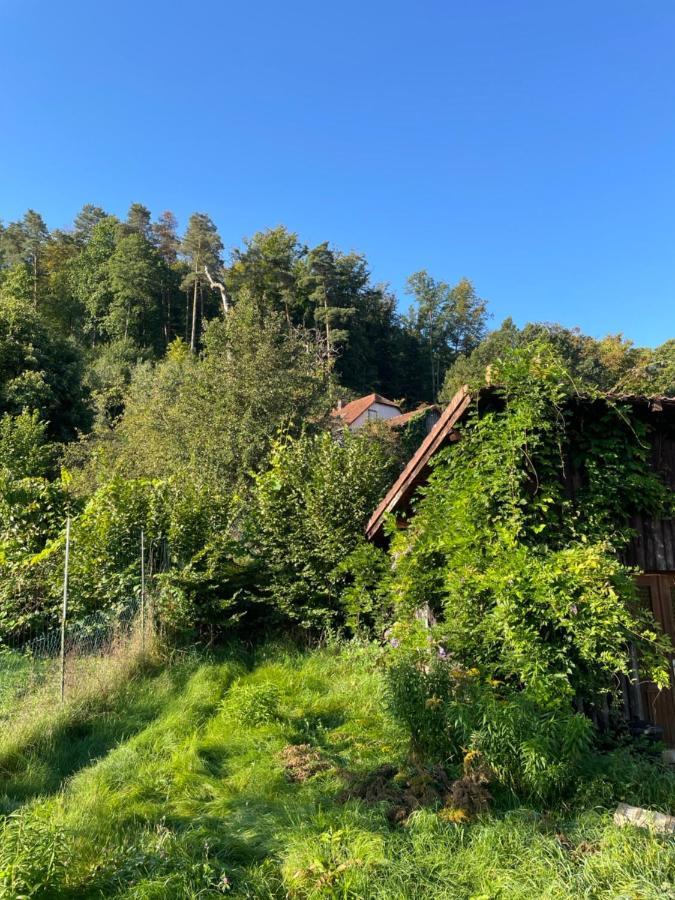 Ferienwohnung Mon Refuge En Vasgovie Meisenthal Exterior foto